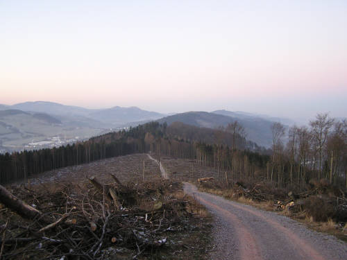 Vom Langerberg ging es dann über den Schotterweg zunächst abwärts bis zum Waldrand.